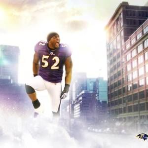 Meet your Posher, Tj